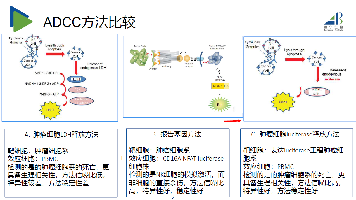 圖片29.png
